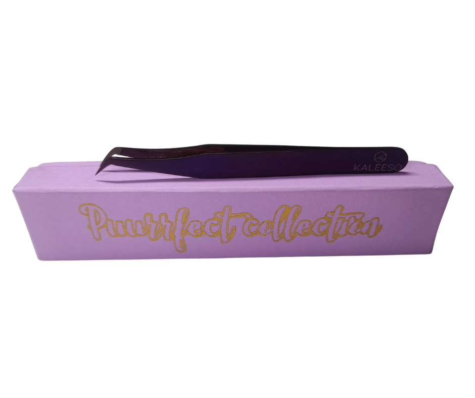 Pinza Korat