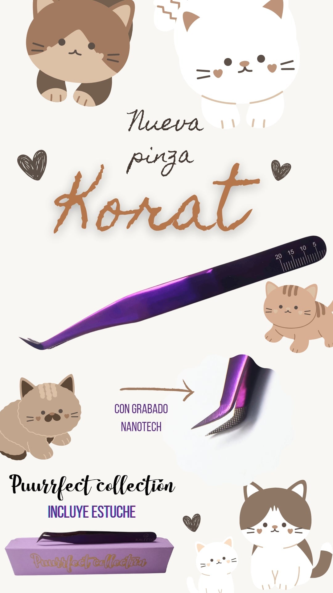 Pinza Korat