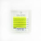 Flourescent Yellow NEON one size