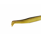 Pinzas de pancita