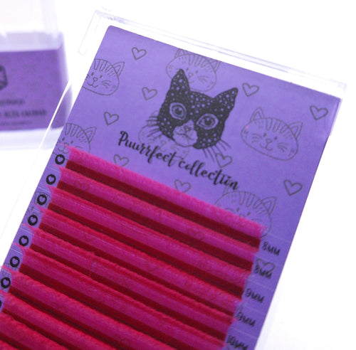 Blister box YY de colores Magenta