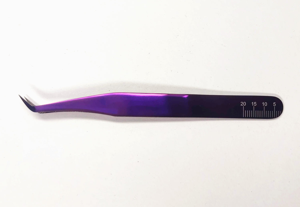 Pinza Korat