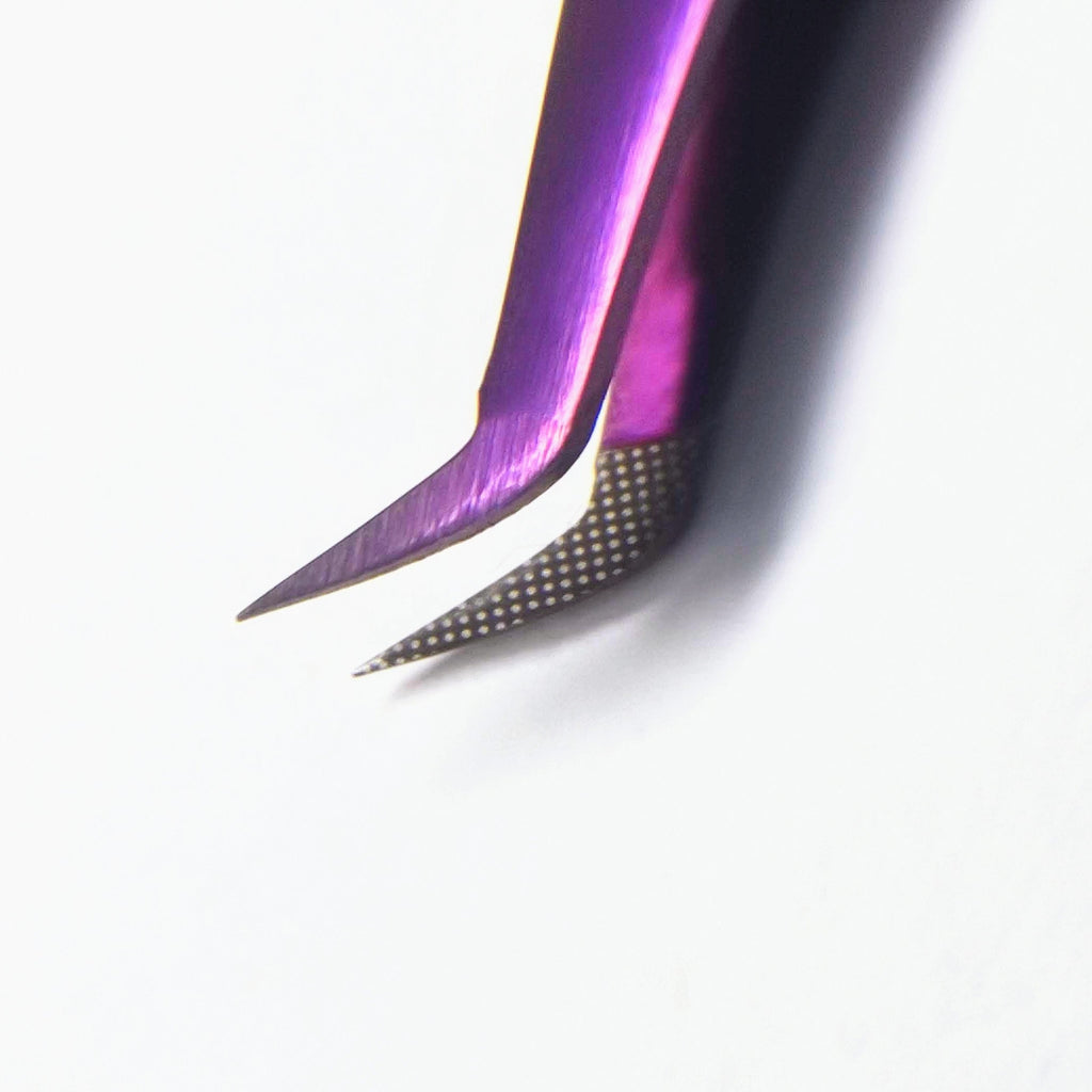 Pinza Korat