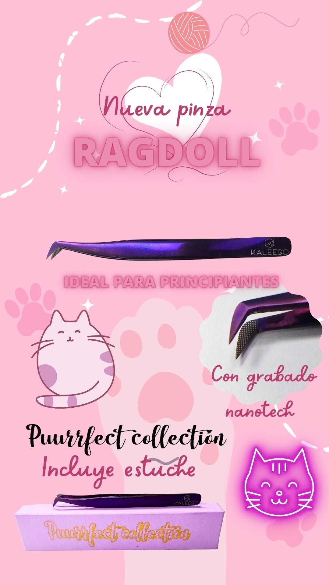 Pïnza Ragdoll