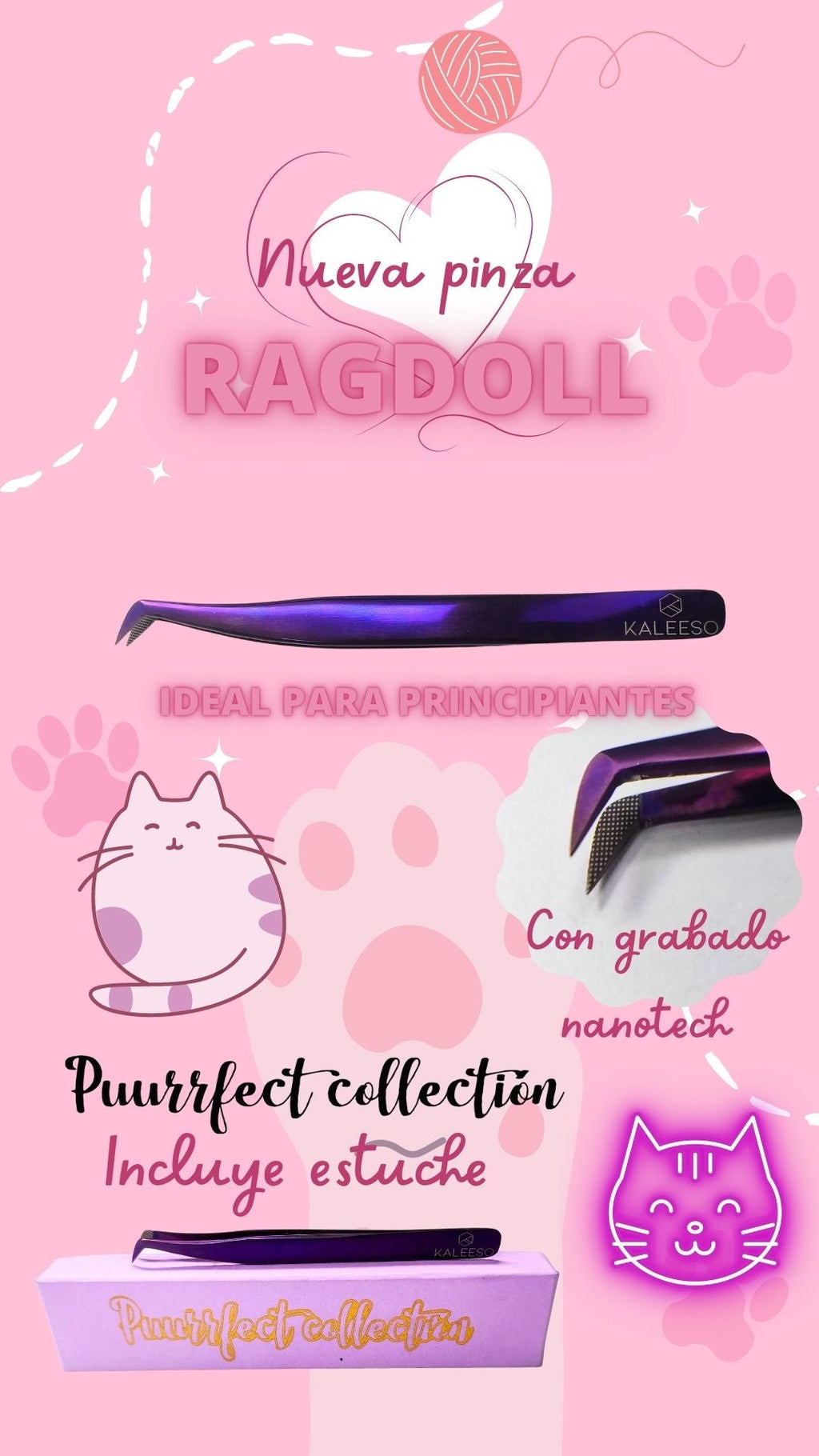 Pïnza Ragdoll