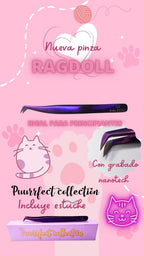 Pïnza Ragdoll