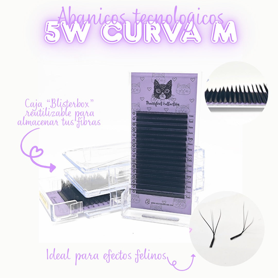 Curva M 5 w