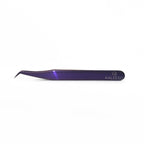 Pinza Korat